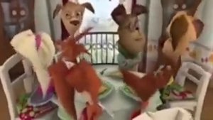 НЕ БУДУ КАШУ, КАША ДЛЯ ДЕВЧОНОК...