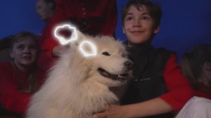 Небо под тобой. Шоу-группа "Форсаж"  Студия "Сила Звука г.Челябинск"