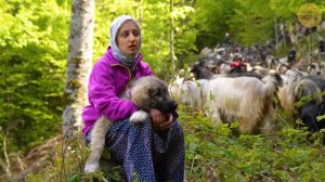 Dağlardaki Kız ve Ailesinin Köy Hayatı-Medeniyetten Uzak Huzurlu Bir Yaşam| Belgesel-4K