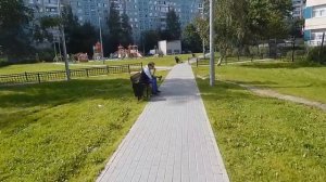 Мистер макс через 15 лет