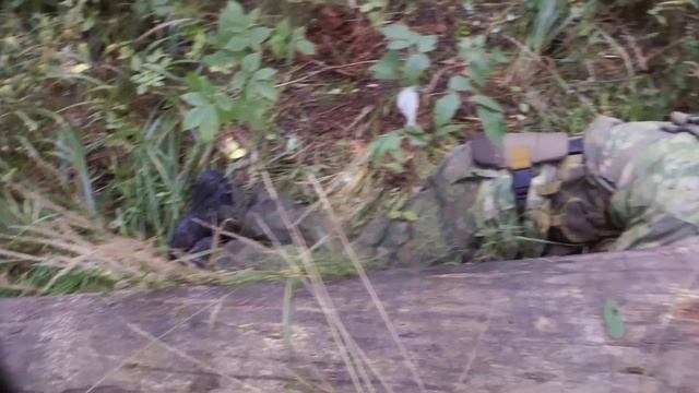 Скрытное преодоление поваленного дерева смотреть онлайн