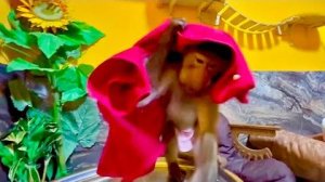 Люська КРАСАВИШНА, Степашка флейтист прямо не гамадрилы, а одни народные артисты)))