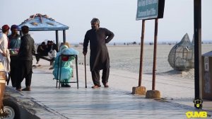 Ninja Dadi - Dumb TV