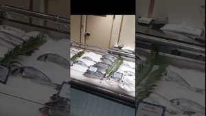 Поход в рыбный магазин "На волне"