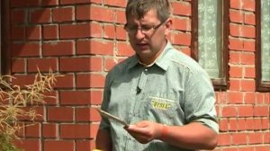 Злобный ТЭД