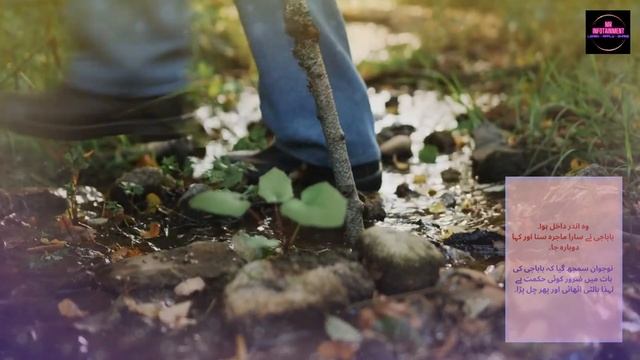 QURAN PAK KI TALAWAT KA DIL PAR ASAR/URDU/HINDI | MR INFOTAINMENT смотреть онлайн