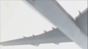 006 China Airlines (Dynasty 006)