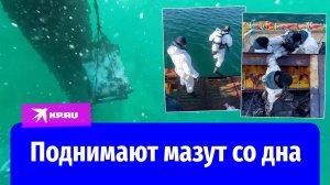 Спасатели продолжают очищать Чёрное море от мазута