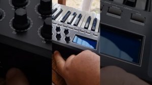 test worlde panda 25