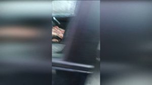 Ролик ПДД от команды Бонд