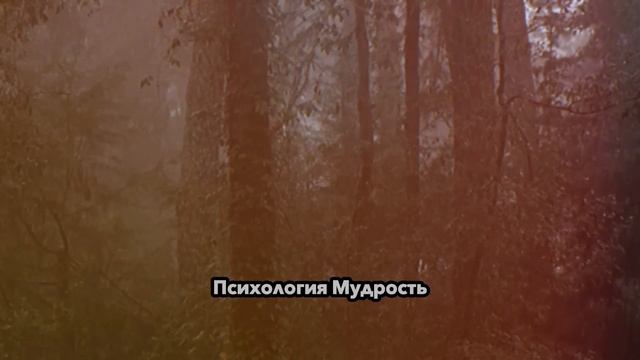 4 золотых правила, которые заставят мужчин гнаться за вами