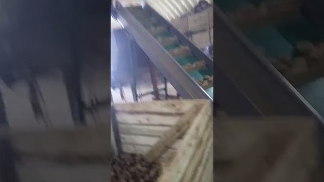 калибровщик картофеля самодельный