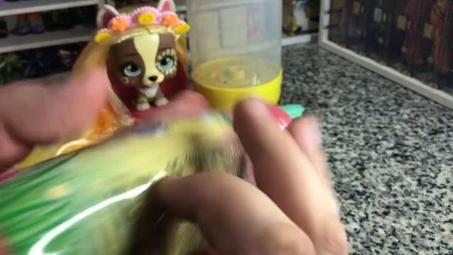 Rainbow High: Beast High? I❤️VIP Pets Spring Vibes and Mini Fans Unboxing Review and Rebody