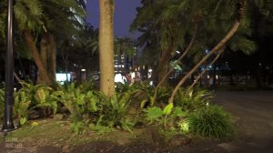 Taipei Night Walk： From Taipei Dome Stadium to Cityscape Wonders