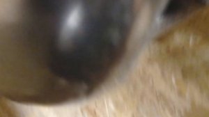 Крепление защиты резонатора.