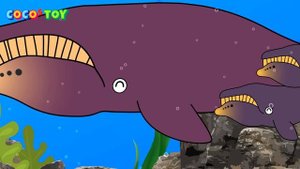 New friends in my fish tank. it's too many!ㅣwhales & sharks for kidsㅣCoCosToy
