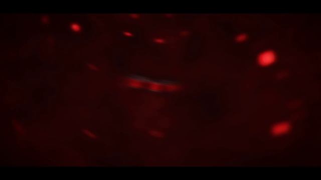 Ptitzachs ~ Платное интро на заказ (для SUF'a) смотреть онлайн