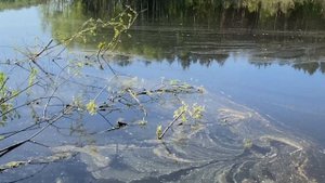 Поехали на рыбалку на питбайке и квадроцикле