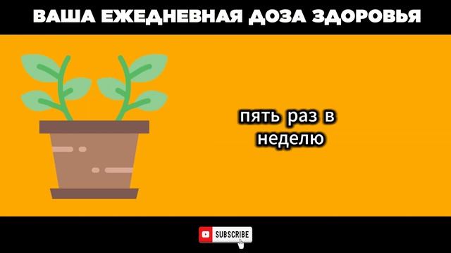 🥬3 Растения против старения, которые увеличивают коллаген и улучшают вашу кожу