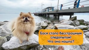 Бася стала бесстрашным следопытом! Что она нашла?