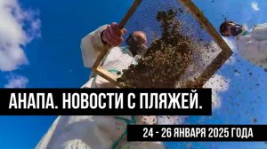 Анапа 24-26 января 2025 года. Новости с пляжей.