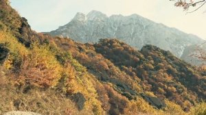 Паисий Святогорец и старец Тихон. Катунакия. 6 серия