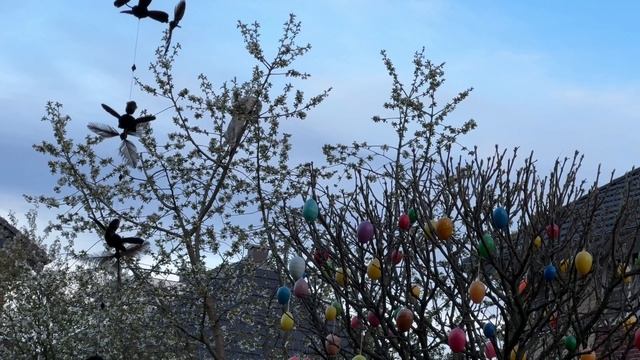 VLOG🇩🇪:Прогулка/Завтрак/Мороженое в Кафе/Обзор покупок/Соседский проказник/Ужин от дочи/Проспекты смотреть онлайн