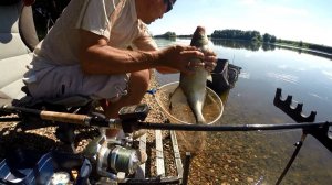 Рыбалка на сильном течении на Москве-реке. 10 августа 2017