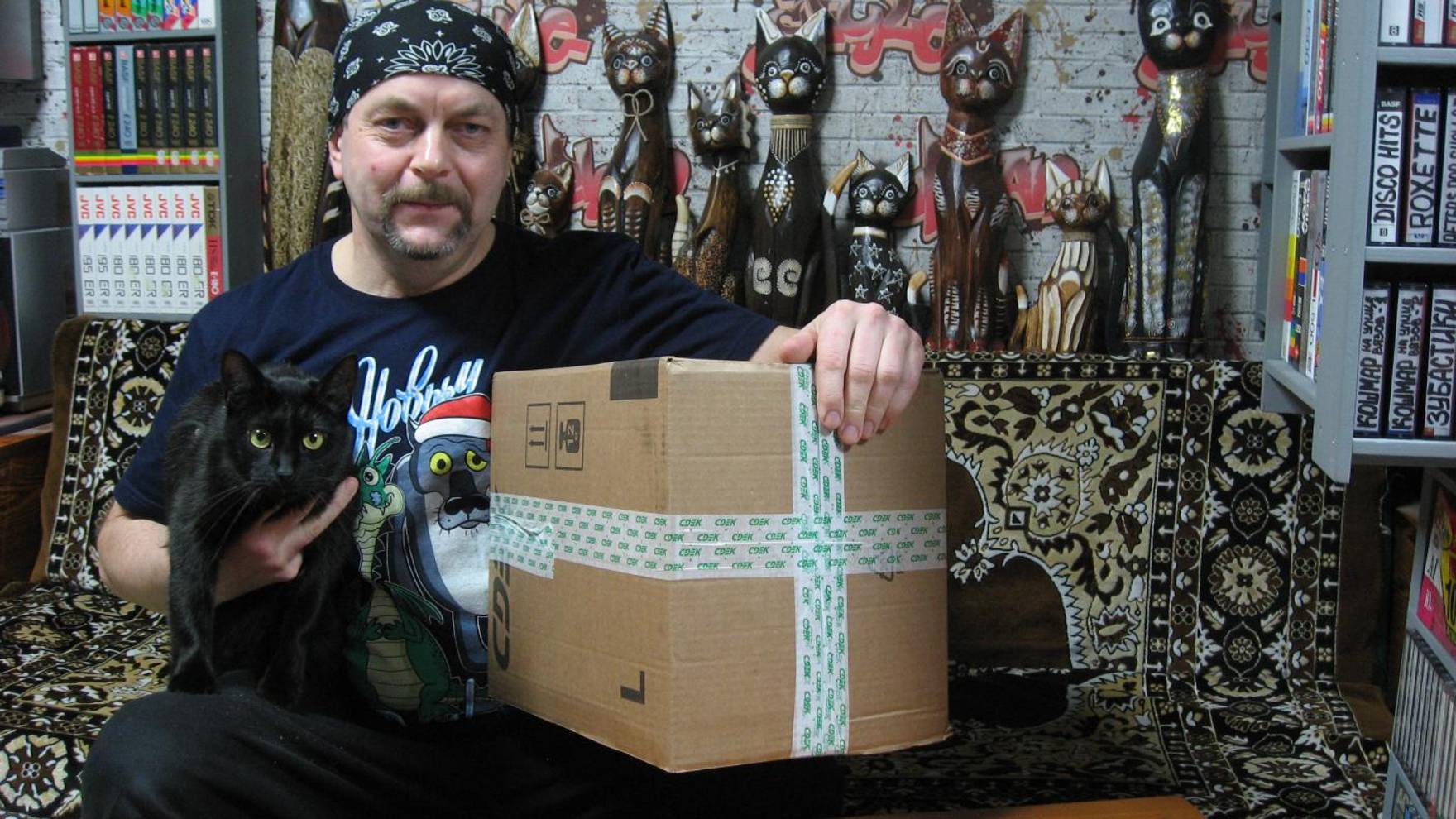 Маленький сюрприз из города Лиски или снова распаковка в кошачьем царстве. смотреть онлайн