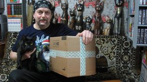 Маленький сюрприз из города Лиски или снова распаковка в кошачьем царстве.