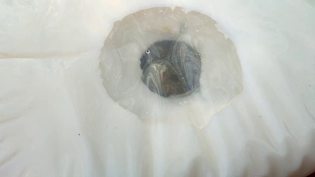 come stanno le api? смотреть онлайн