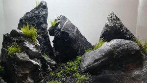 Dennerle Scaper's Tank 55L - "Dry Start" Aquarium