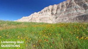 Mount Rushmore - Listening Quiz Practice for Advanced Learners of English + Free Printable Quiz