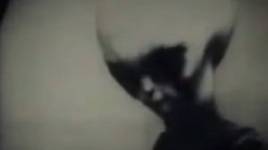 Скини. Тощий Боб. Пришелец из Розуэлла.