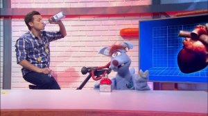 Wie funktioniert das Herz? l WOOZLE GOOZLE