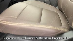 BYD SONG MAX DM-i