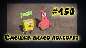 Смешная видео подборка #150