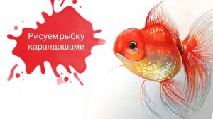 Рисуем Рыбку Цветными Карандашами! 🐠