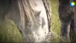 Atlantis, Lemuria, Hyperborea. Great secrets of civilizations:Атлантида Великие тайны