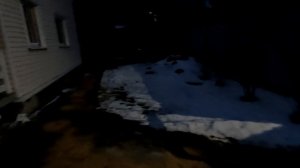 Теплый день: строим сарай для кур и радуемся яйцам!