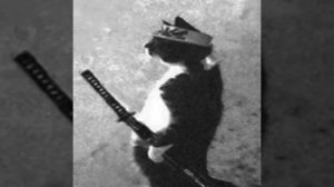 [1 hour] PROTECTION CHARM (Slowed+Reverb)