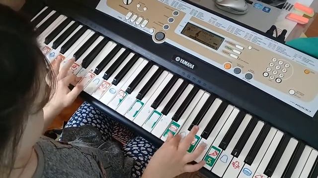 Хроматическая гамма двумя руками расходящ смотреть онлайн