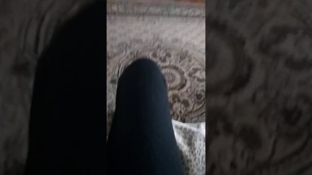 мой кот беляш смотреть онлайн