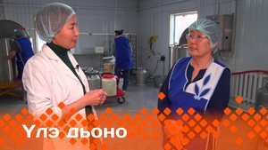«Үлэ дьоно» (26.01.25)