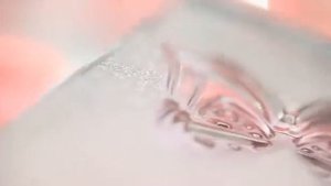 Franck Olivier Perfume Nature