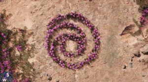 New Dawn: Нас извлекут из-под обломков!