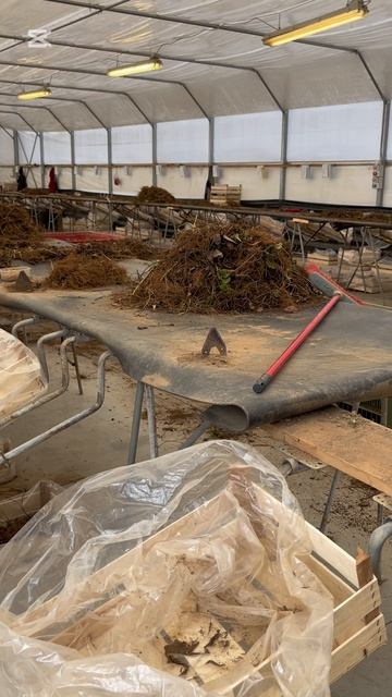 Подговка к сезону