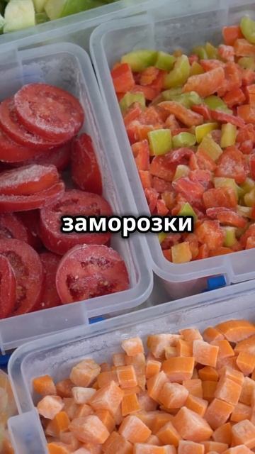 Вакуумный упаковщик: Свежесть продуктов в 5 раз дольше!  #shortsvideo  #shortsyoutube #shorts