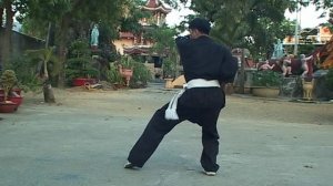 THANH LONG VO DAO. Чёрный тигр спускается с горы. Мастер Фом