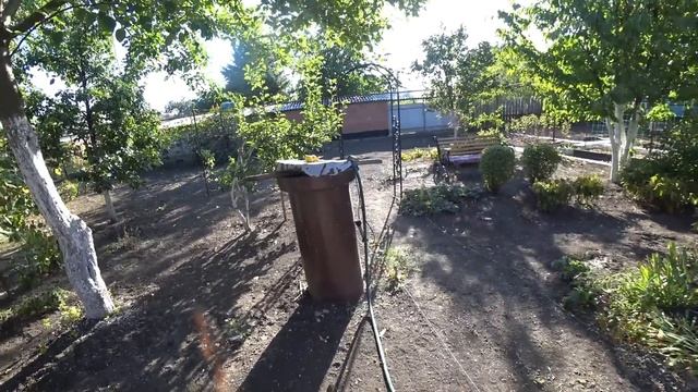 Удаление КОРНЕЙ старого ПНЯ Обрезка красной СМОРОДИНЫ и ЙОШТЫ Кексики с изюмом по ГОСТу_25.09.2024